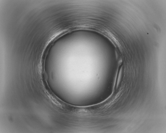 X0000116280787200912141348