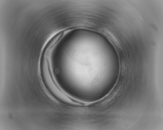 X0000116280788200912141348