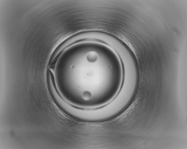 X0000116280789200912141348