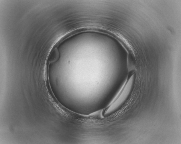 X0000116280791200912141348