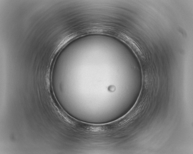 X0000116280794200912141347