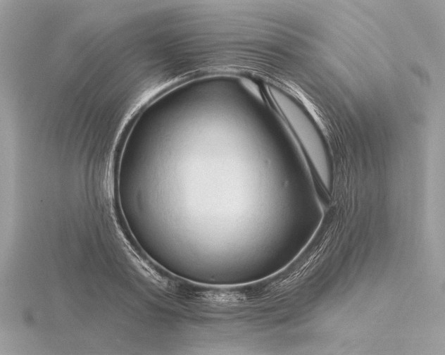 X0000116280795200912141347