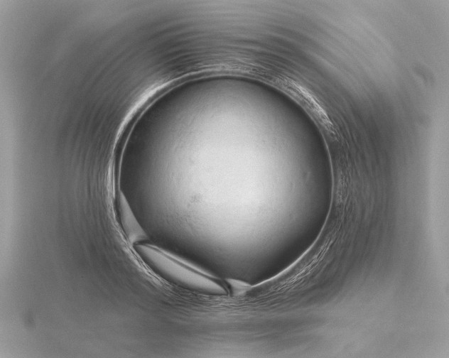 X0000116280796200912141347