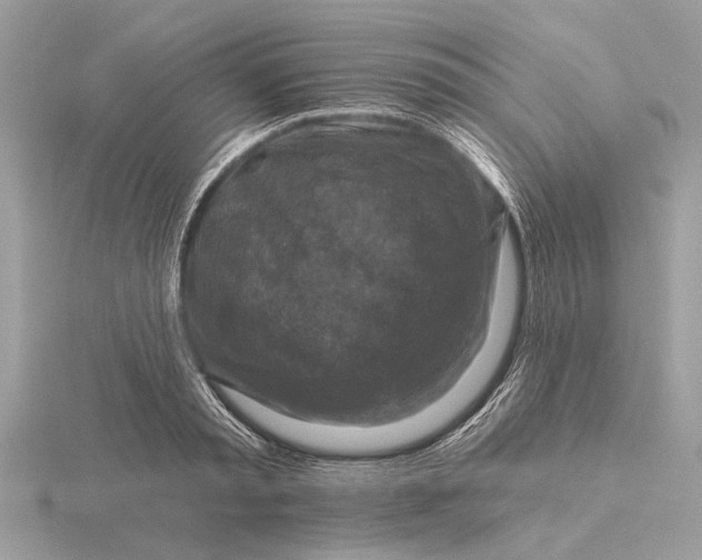 X0000116280797200912141347