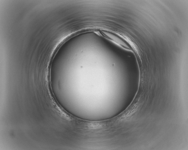 X0000116280799200912141347