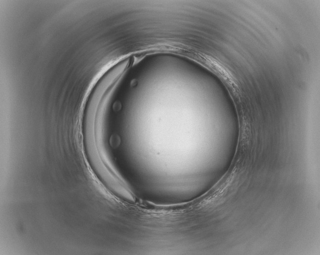 X0000116280800200912141347