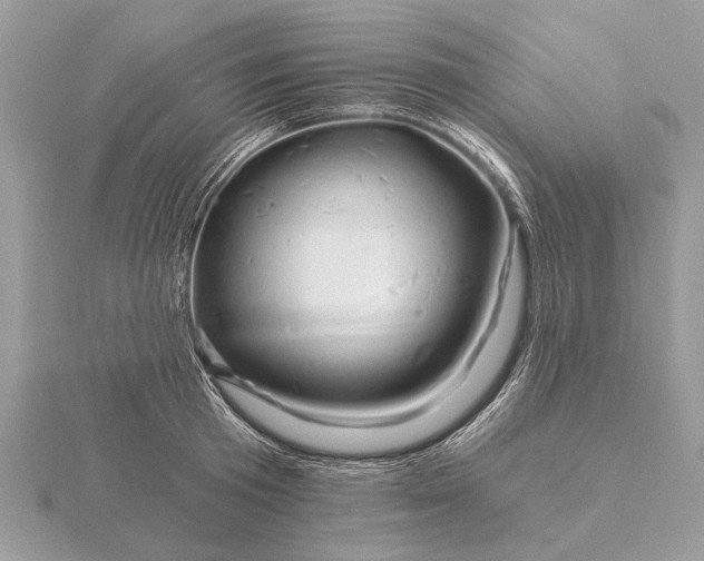 X0000116280801200912141347