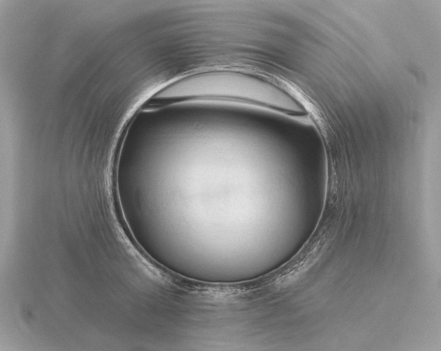 X0000116280803200912141347