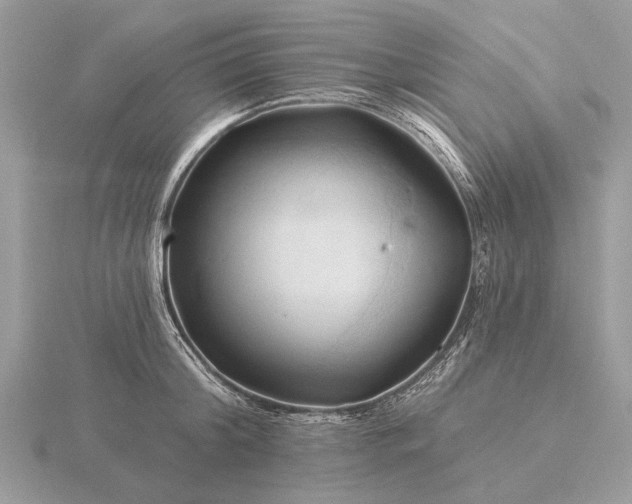 X0000116280804200912141347