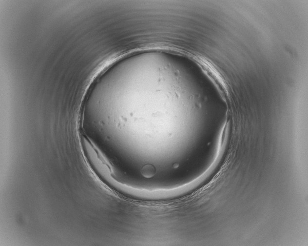 X0000116280805200912141347