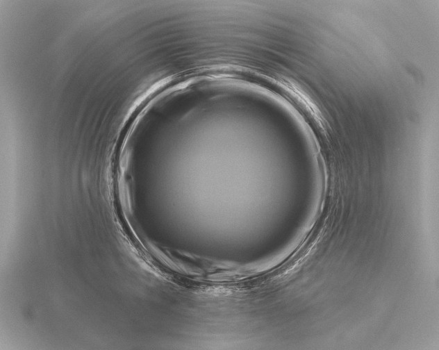 X0000116280806200912141347