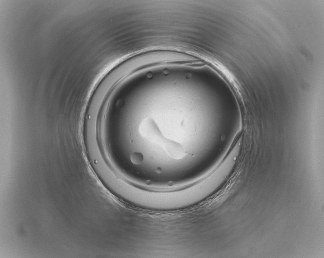 X0000116280807200912141347