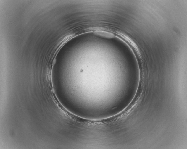 X0000116280809200912141347