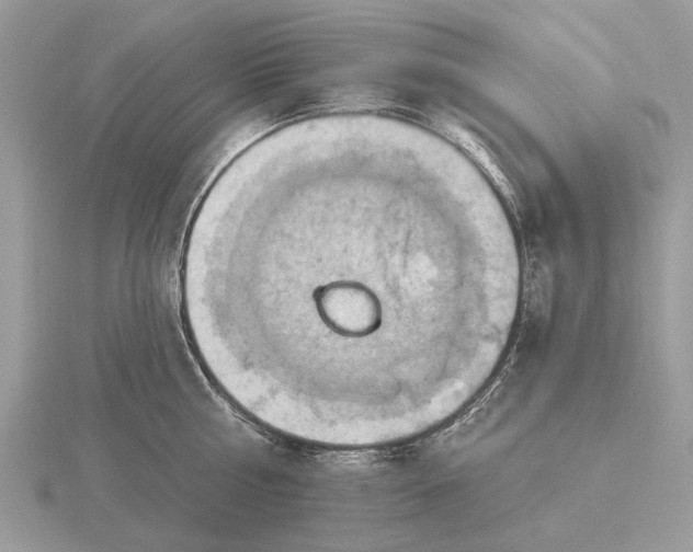 X0000116280810200912141347