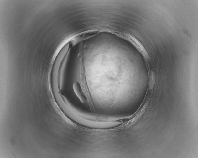 X0000116280812200912141347