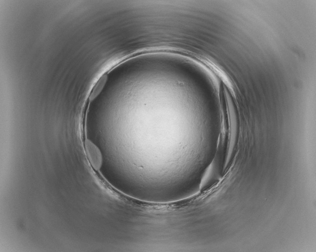 X0000116280813200912141347