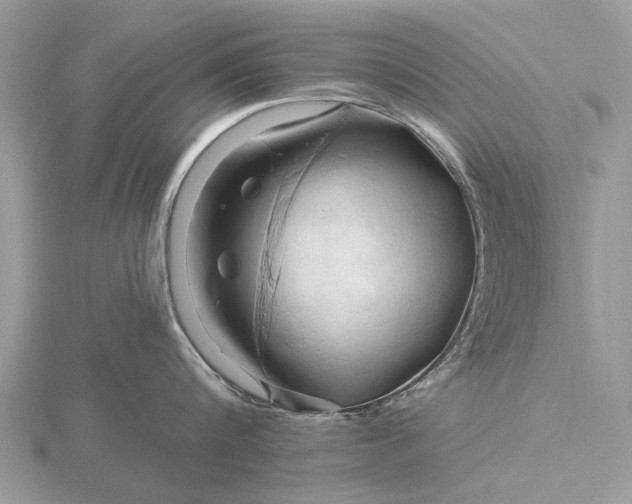 X0000116280816200912141347