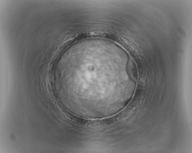 X0000116280817200912141347