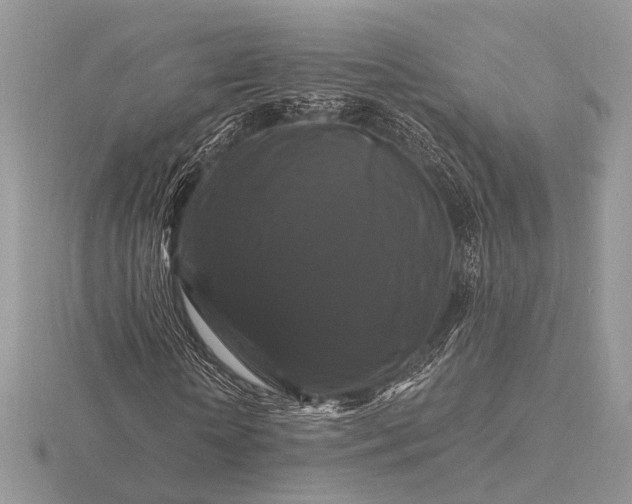 X0000116280818200912141347