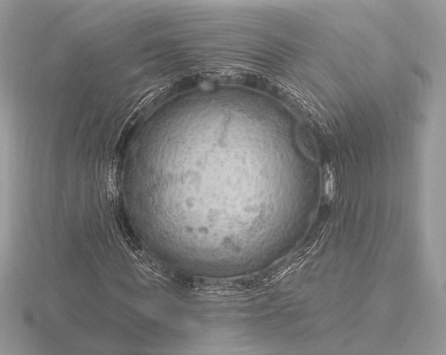 X0000116280819200912141347