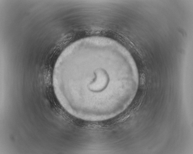 X0000116280820200912141347