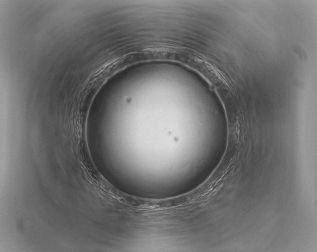 X0000116280821200912141347