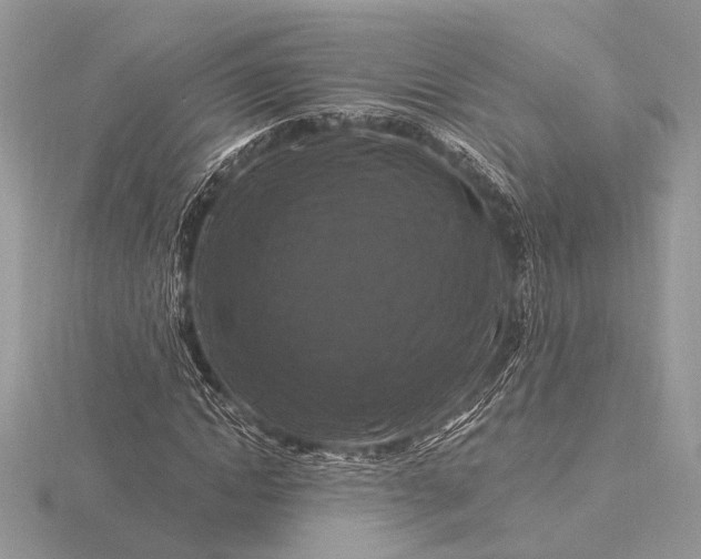 X0000116280822200912141347