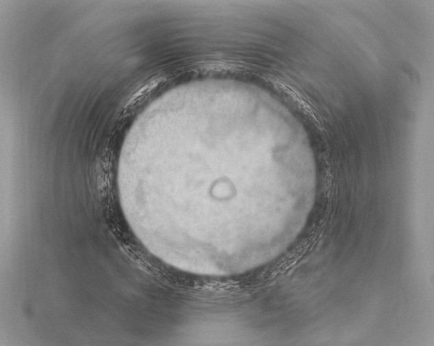 X0000116280824200912141347