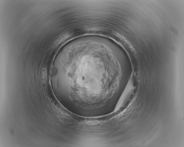 X0000116280825200912141347