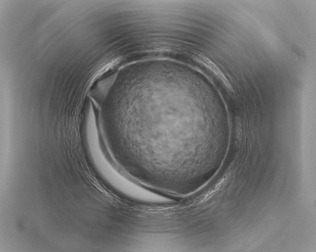 X0000116280826200912141347