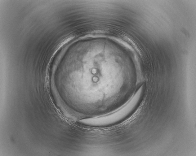 X0000116280827200912141347