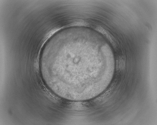 X0000116280828200912141347