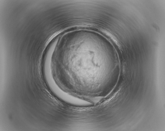 X0000116280829200912141347