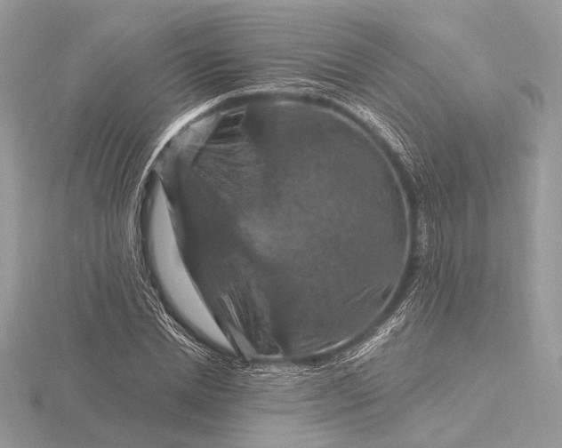 X0000116280830200912141347