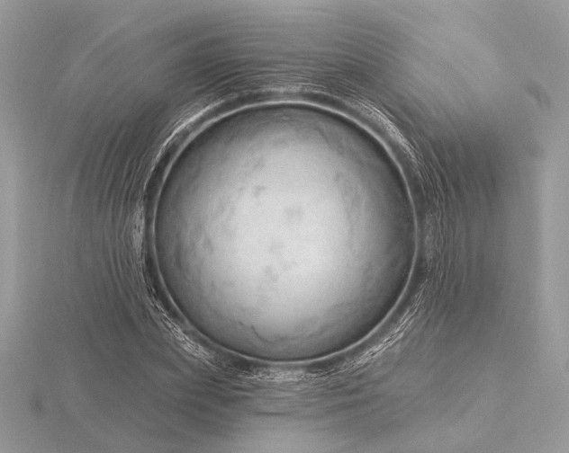 X0000116280831200912141347