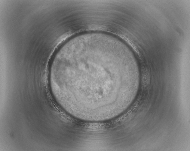 X0000116280832200912141347