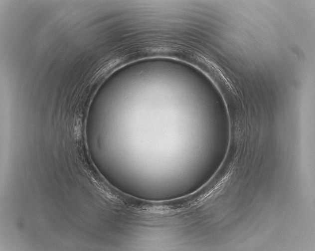 X0000116280833200912141347