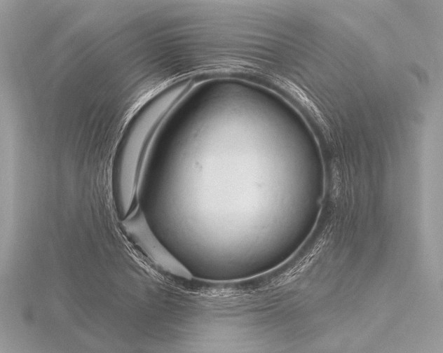 X0000116280834200912141347