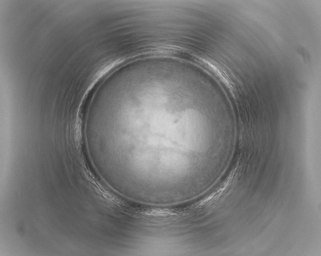 X0000116280835200912141347