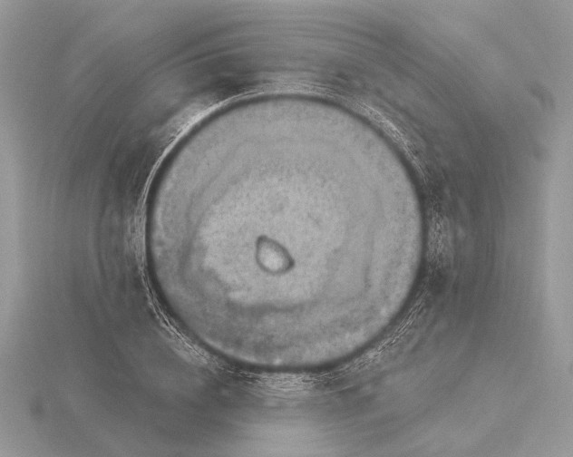 X0000116280836200912141347