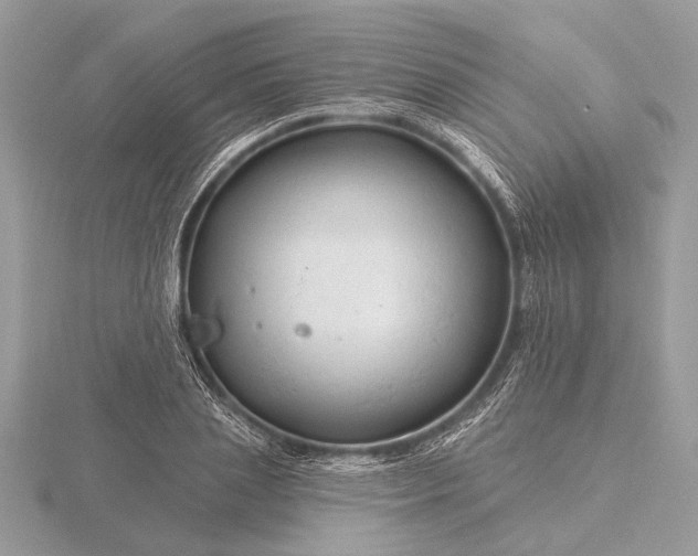 X0000116280837200912141347