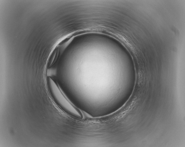 X0000116280838200912141347