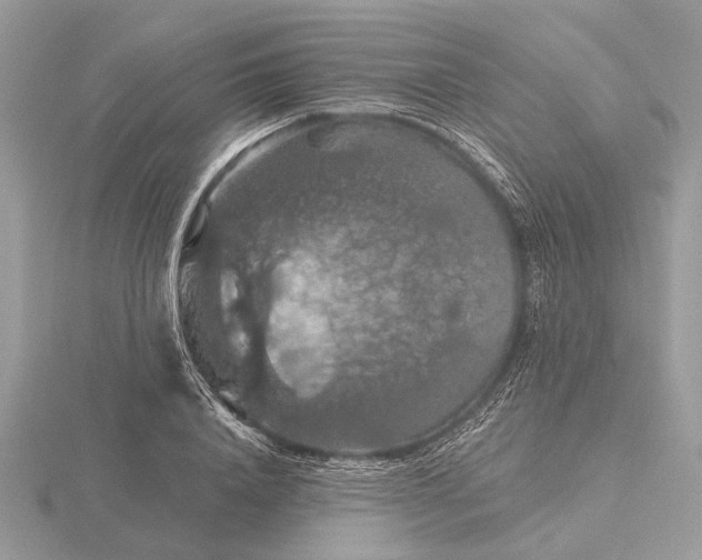 X0000116280840200912141347