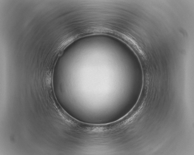 X0000116280841200912141347