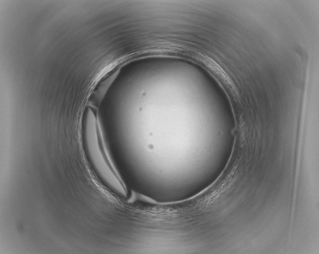 X0000116280842200912141347