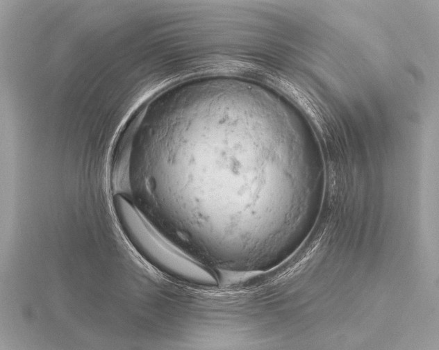 X0000116280843200912141347