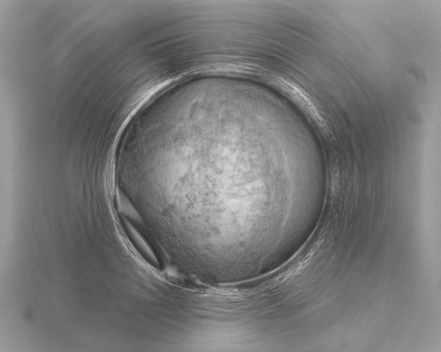 X0000116280844200912141347