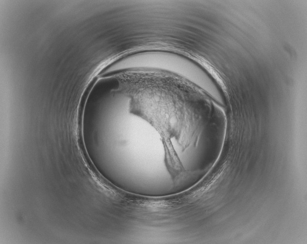 X0000116280845200912141347