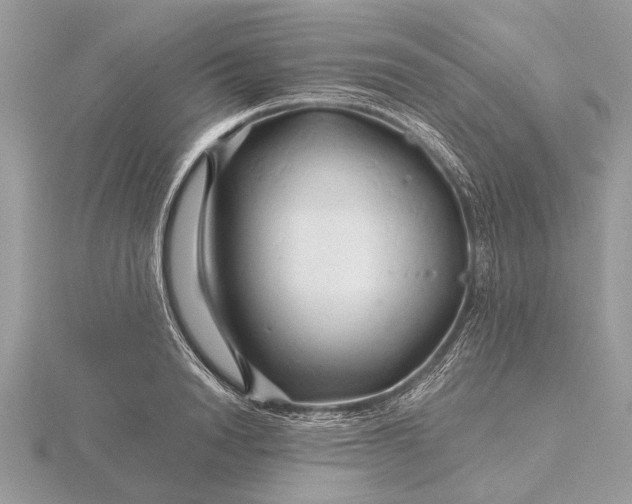 X0000116280846200912141347