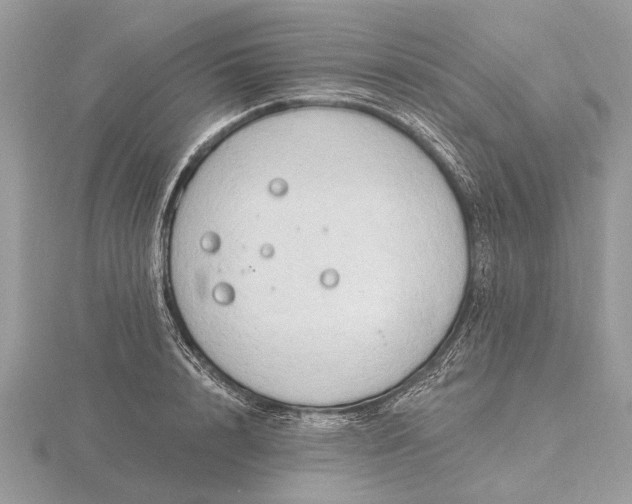 X0000116280848200912141347